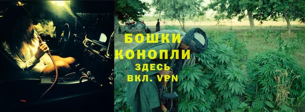 PSILOCYBIN Инсар