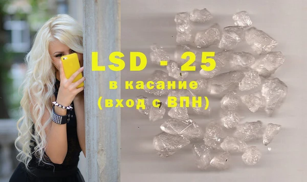 PSILOCYBIN Инсар