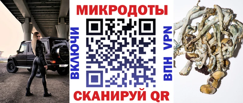 Купить закладки  Дубовка  Псилоцибиновые грибы Psilocybine cubensis 