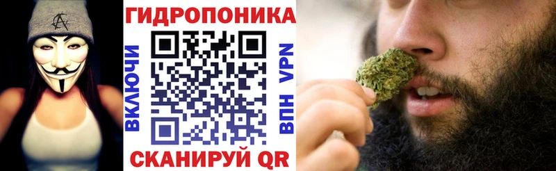 Купить где  Дубовка  Конопля планчик 